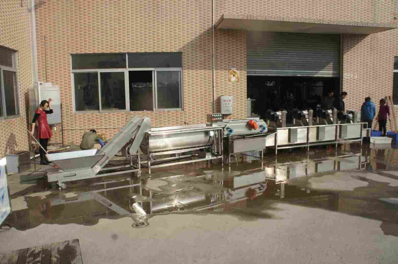 中央厨房净菜加工清洗设备生产厂家