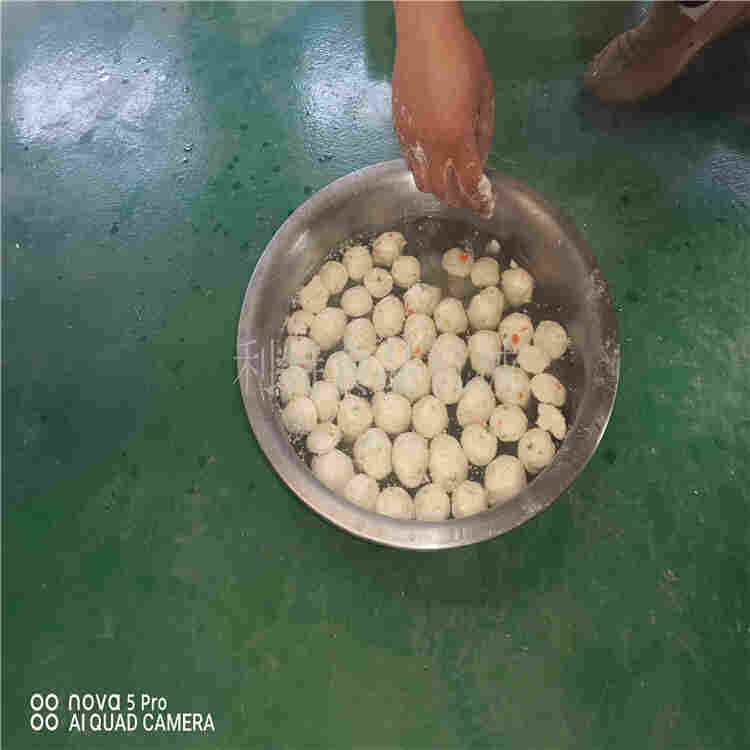 肉丸成型机供应厂家