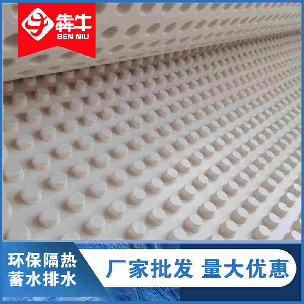 ：宁波排水板本地发货