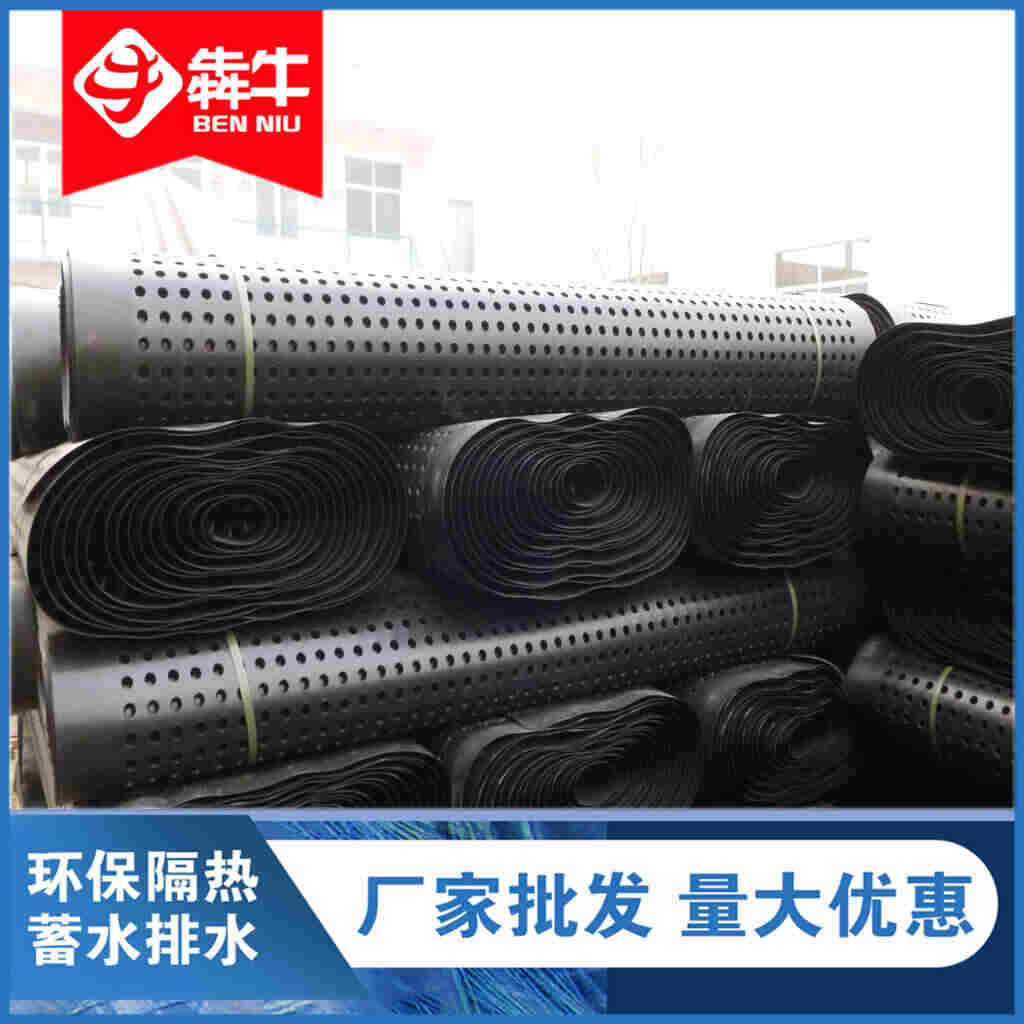 本地现货：毕节排水板-----(本诚信厂家）