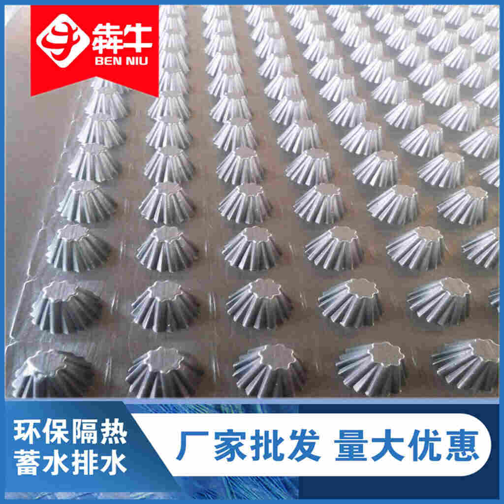 厂车发货：红河排水板(厂家直发）