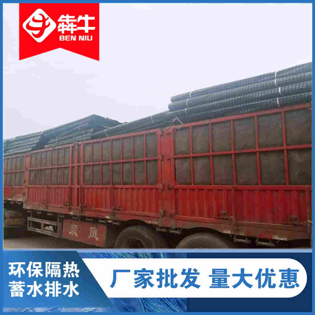 本地现货：毕节排水板-----(本诚信厂家）