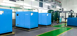 无油静音压缩机系统在食品药品-生产行业质量监测的方法有哪些