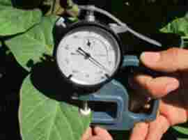 叶片厚度检测仪（中西器材） 型号:LB066/ZX-3库号：M391184 