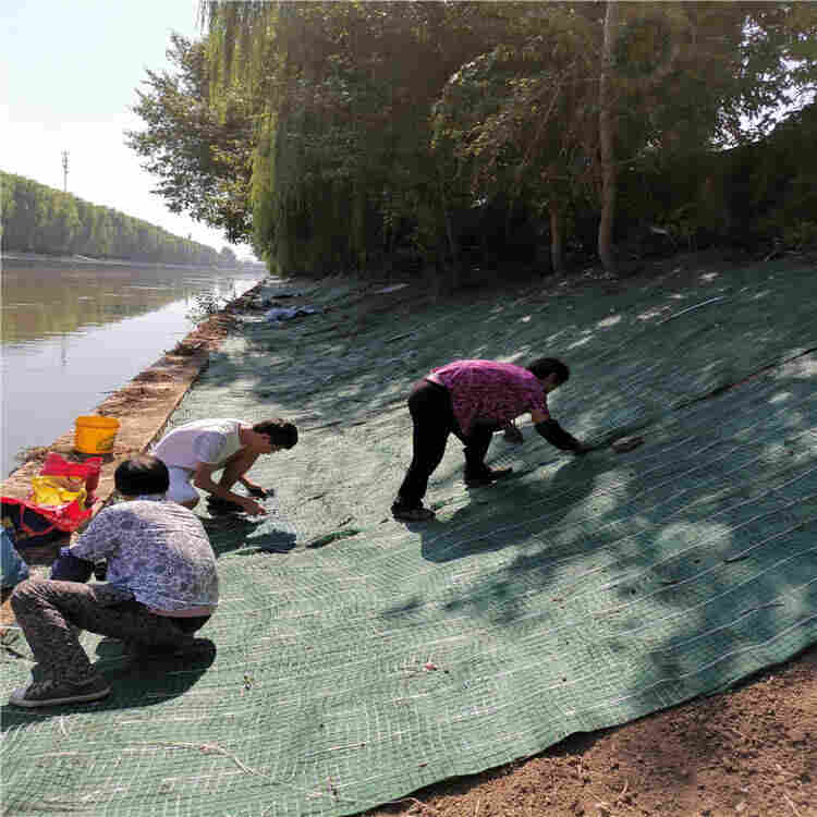 三亚植草毯施工植草毯价格