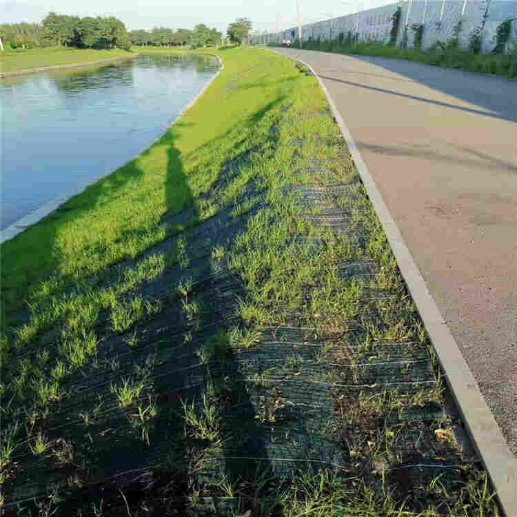 济南护坡椰丝毯厂家施工护坡椰丝毯价格