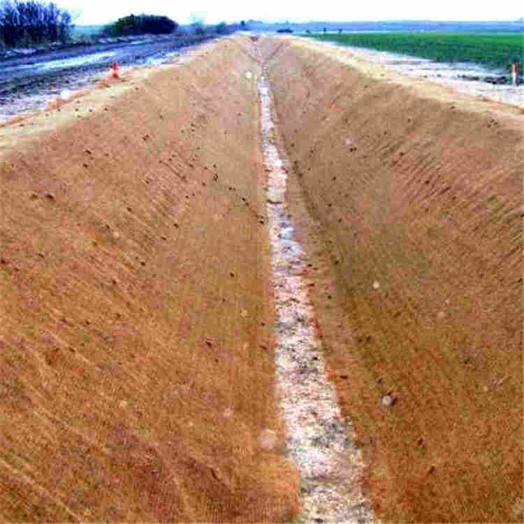 三亚植草毯施工植草毯价格