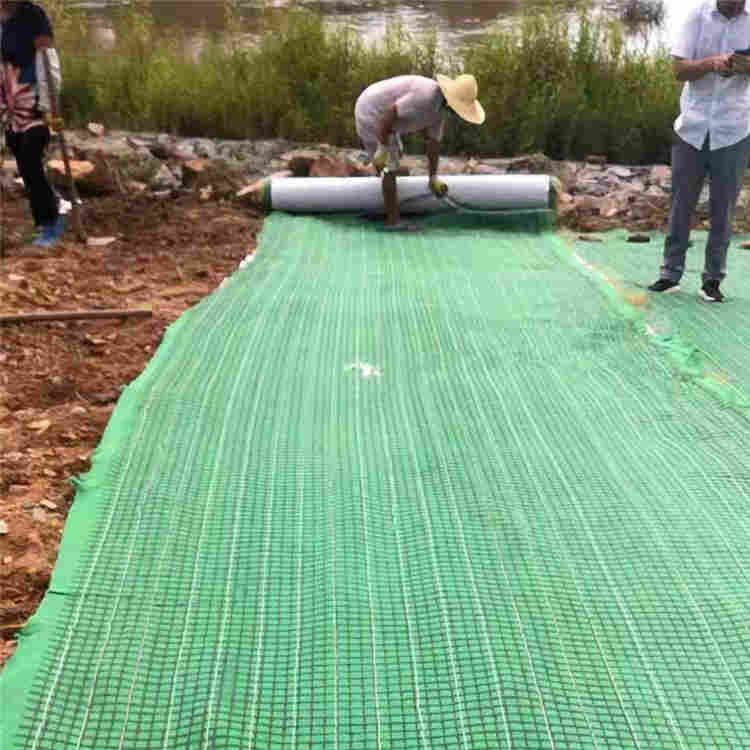 贺州植草毯报价植草毯价格