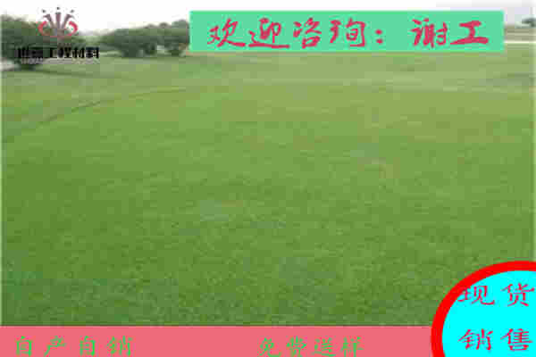 广安边坡生态植生毯厂家——（矿山复绿）