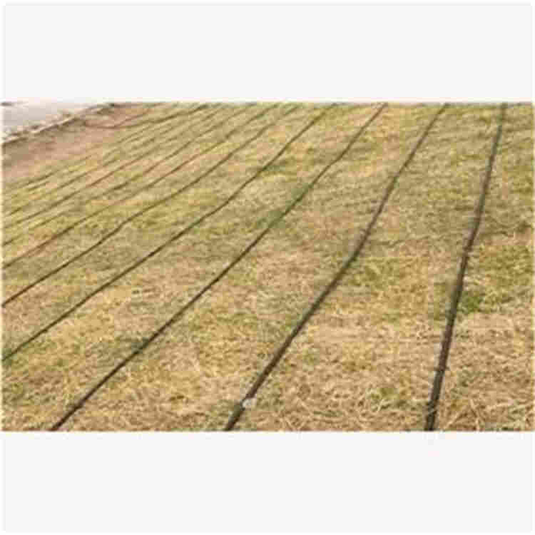 昌都护坡生态毯快速护坡(现货厂家/价格表)