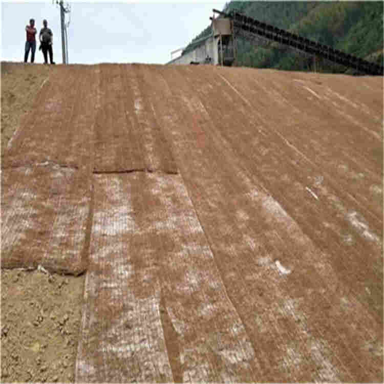 资阳边坡生态植生毯/植生毯/厂家介绍