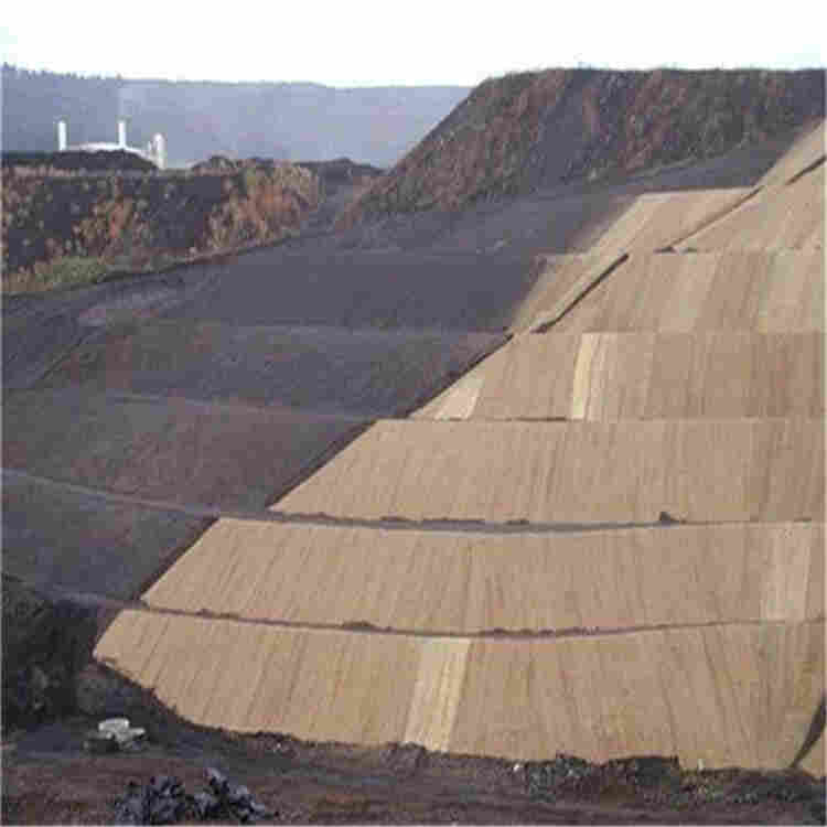 宿迁椰丝环保植生毯/环保生态毯/厂家介绍