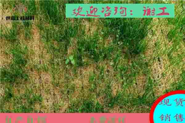 柳州植生毯快速护坡(现货厂家/价格表)