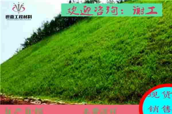 武威边坡生态植生毯快速护坡(现货厂家/价格表)