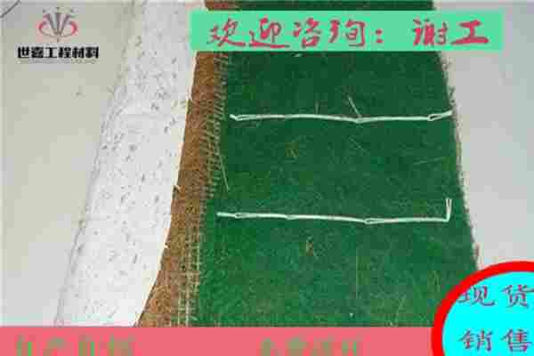 岳阳椰丝环保植生毯/环保生态毯/厂家介绍