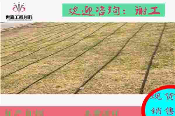 欢迎访问:开封绿化植生毯---(欢迎莅临//本公司.)).