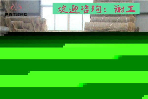 拉萨边坡生态植生毯快速护坡(现货厂家/价格表)