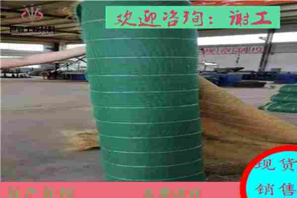 广安边坡生态植生毯厂家——（矿山复绿）