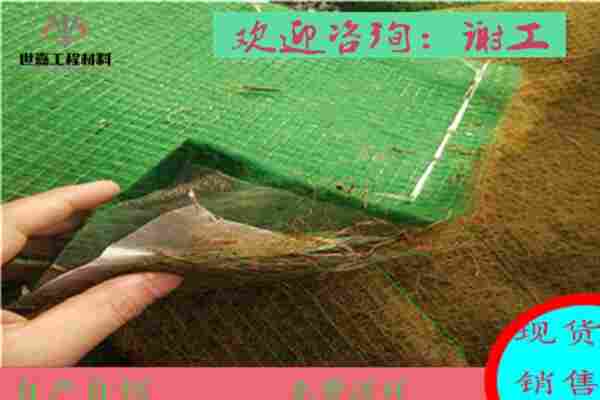 欢迎访问:大同抗冲生态毯——((山西集团——欢迎莅临.)).