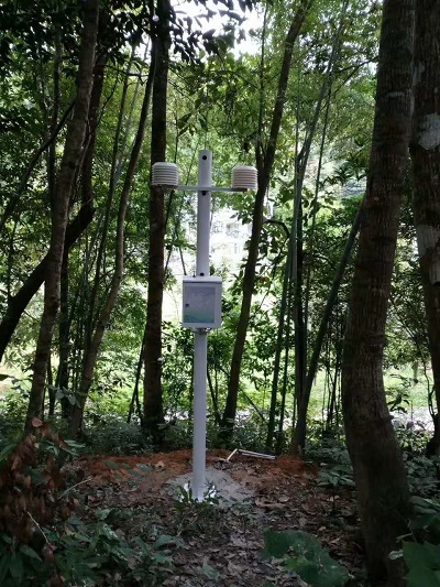 陕西示范性公园安装负氧离子监测系统