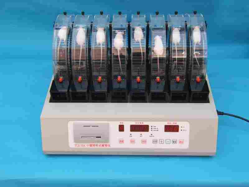 大小鼠动物跑步机有几种形式，该选择哪一款