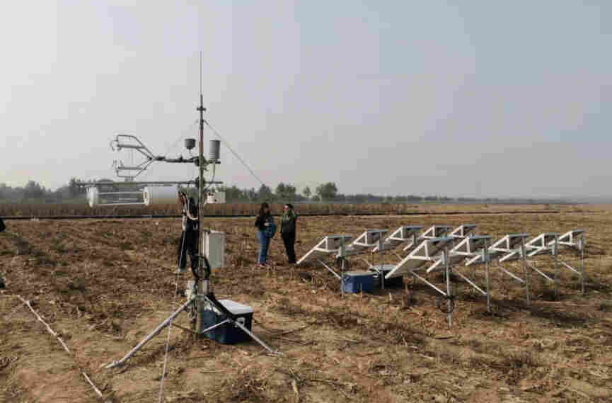 海尔欣参与农业大学 刘学军教授课题研究项目 下篇