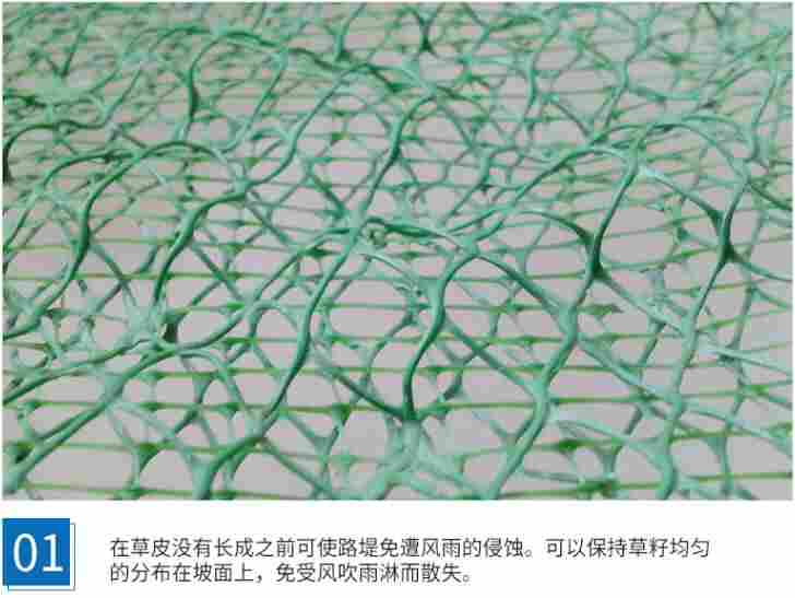 峨山县富良棚乡三维植被网-植被护坡土工网峨山县富良棚乡三维植被网