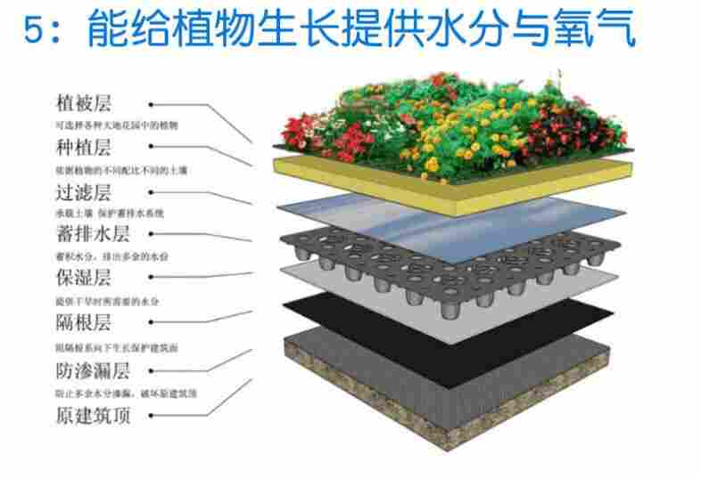 永胜县大安乡蓄排水板-排水板永胜县大安乡排水板