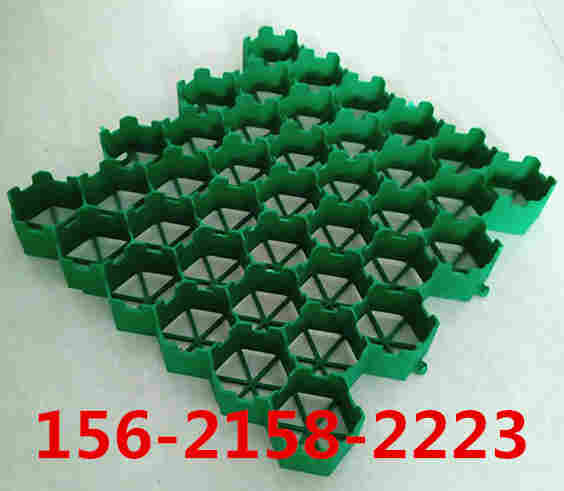 欢迎光临—蓝山县植草格—厂家直销—欢迎您 欢迎光临—蓝山县植草格—厂家直销—欢迎您