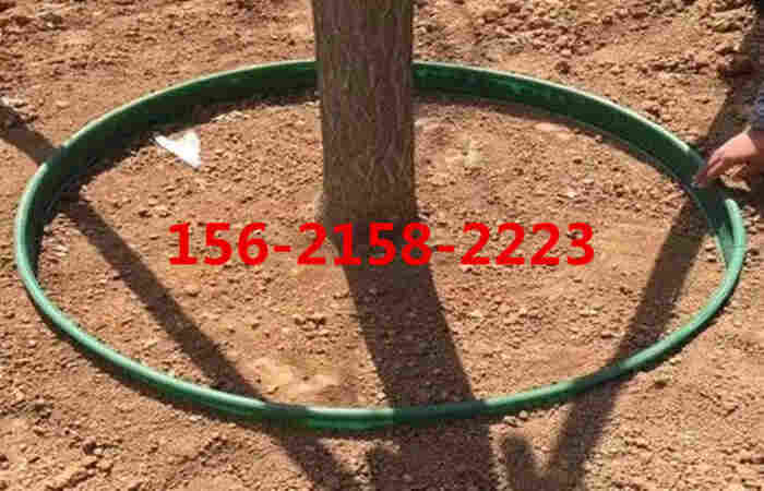 欢迎光临—谢通门县植草格—厂家直销—欢迎您 欢迎光临—谢通门县植草格—厂家直销—欢迎您