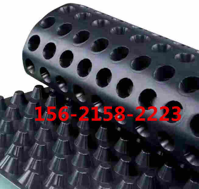 欢迎光临—谢通门县植草格—厂家直销—欢迎您 欢迎光临—谢通门县植草格—厂家直销—欢迎您