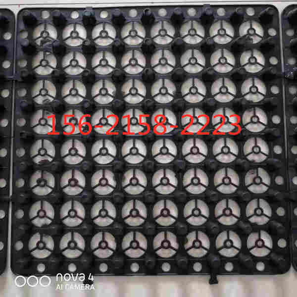 欢迎光临—南召县植草格—厂家直销—欢迎您 欢迎光临—南召县植草格—厂家直销—欢迎您