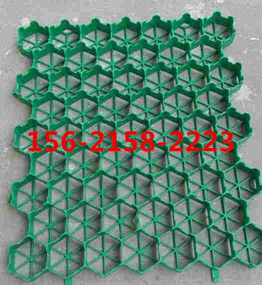 欢迎光临—来凤县植草格—厂家直销—欢迎您 欢迎光临—来凤县植草格—厂家直销—欢迎您