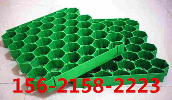 欢迎光临—青岛植草格—厂家直销—欢迎您 欢迎光临—青岛植草格—厂家直销—欢迎您