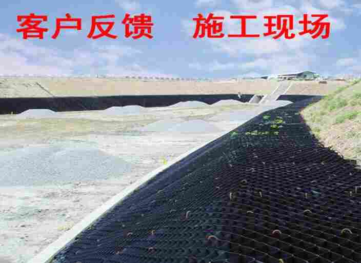 广南县者兔乡土工格室—HDPE高强土工格室广南县者兔乡—蜂窝焊接土工格室广南县者兔乡