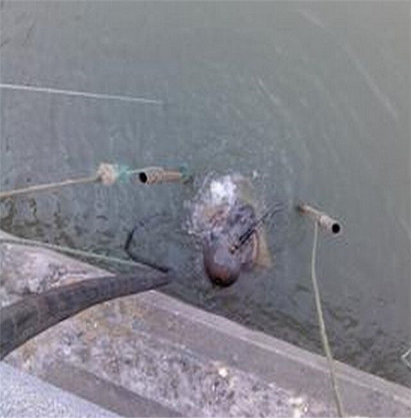 梧州市桥墩水下检测公司水下加固单位