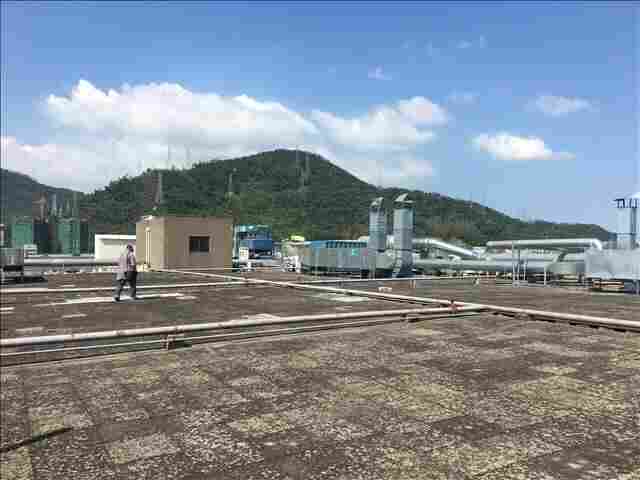 台江区厂房安全检测快速便捷