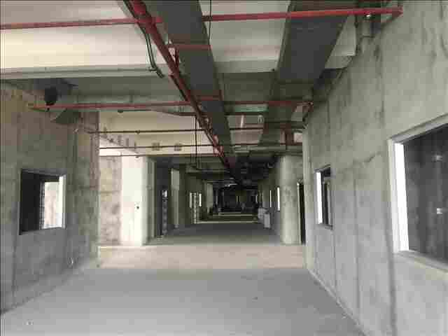 阜新市钢结构建筑检测*机构