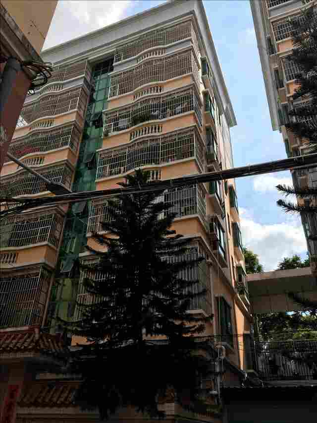 翔安区厂房检测价格公道