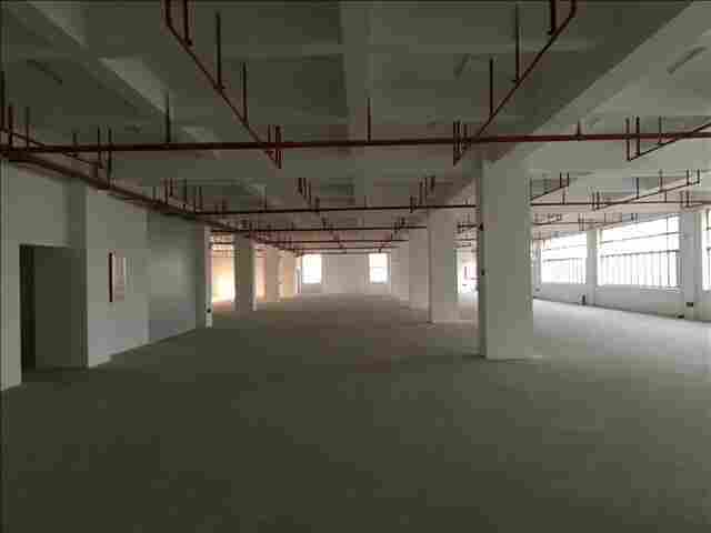 同安区钢结构检测鉴定资质齐全