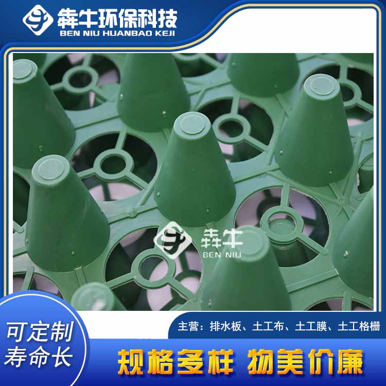 安庆市hdpe花池塑料蓄排水板