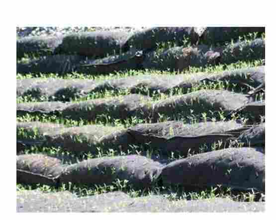 云南云县高速公路边坡生态袋