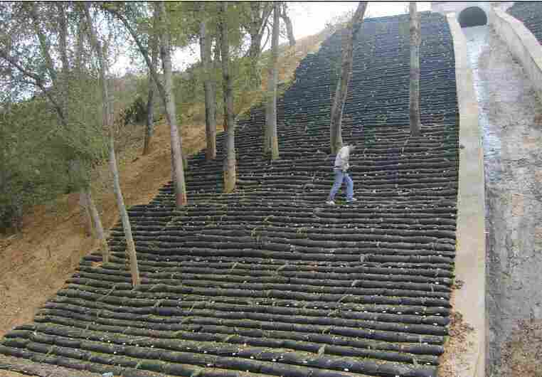 建水绿色生态袋—土工袋建水绿色生态袋—边坡绿化土工袋