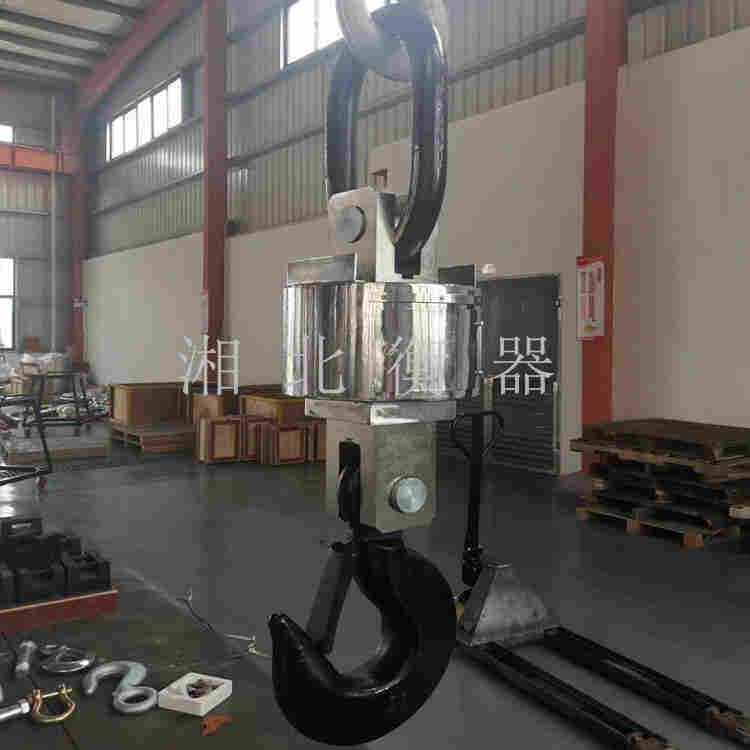 桂林30T数字吊钩秤