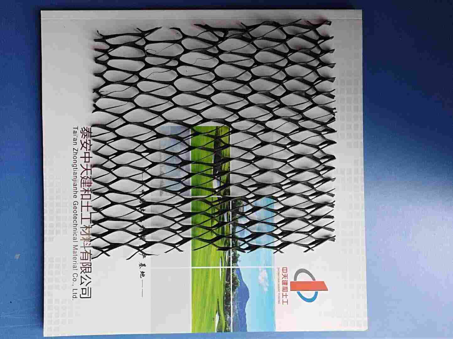 杭州三维植被网有限公司-土工 排水网厂家欢迎