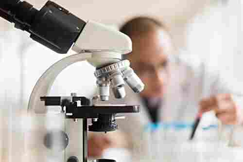 显微镜样品外观分析