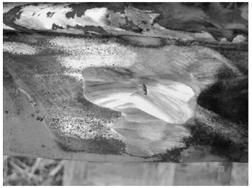 北京在役塔式起重机安全鉴定