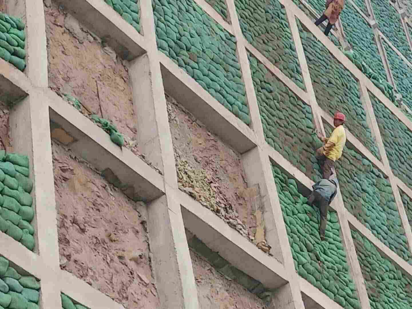 楚雄禄丰植生袋—植草袋楚雄禄丰—草籽绿化袋楚雄禄丰