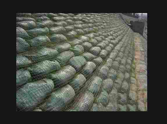 云南古城区植生袋