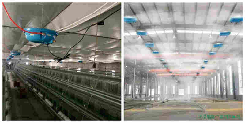 呼和浩特市微生物除臭剂生产公司价格-瑞祥格林